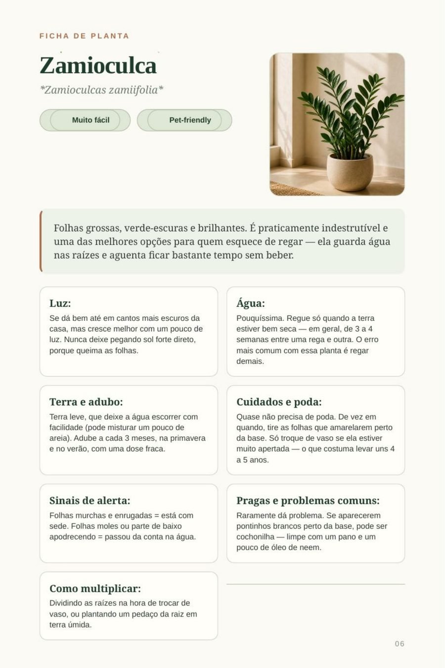 Página de exemplo do guia: ficha da Zamioculca com luz, água, terra, poda e sinais de alerta